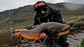 Salmerini artici sul Napiarissat - Arctic Char fishing on the Napiarissat River | Ticinopesca