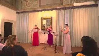 Viva Trio - Coldplay "Viva La Vida"