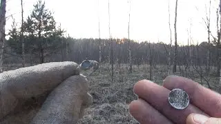 Поиск с металлоискателем! Поиск монет! Вернулся на старое место и тут понеслось! Два Копаря!