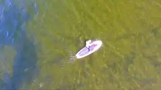 SUPing With Princess