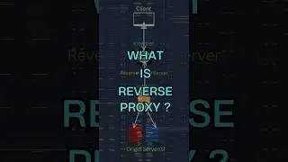 What is Reverse Proxy ? 