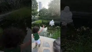 Кидаемся деньгами #жизньзаграницей #корея