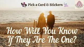 Are They REALLY The One? Pick a Card| Future Spouse Tarot Reading|