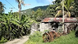 Callwood Rum Distillery Tortola | British Virgin Islands