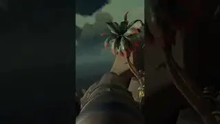 Me In Sea Of Thieves Season 9 Be Like