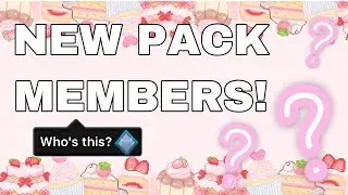 Ajpw NEW DIAMOND CANDIES PACK MEMBERS! |animal jam|