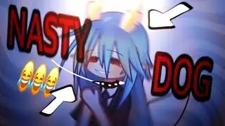 NASTY DOG 