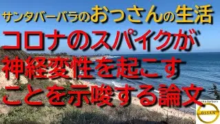 【コロナ再放送スペシャル】コロナのスパイクが神経変性を起こすことを示唆する論文