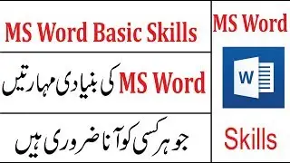 Beginner's Guide to Microsoft Word - 2010 Tutorial Urdu/Hindi