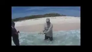 bonefish