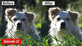 How to remove a fence using Photoshop in Sinhala.