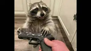I got a Glock in my Rari