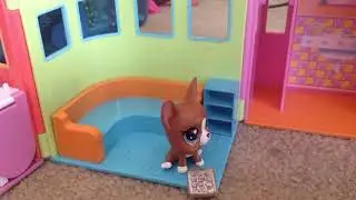 LPS: Haters (part 1) READ DESCRIPTION