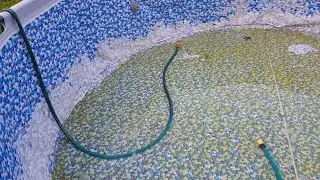How to drain a pool for free and water your garden effortlessly using the laws of physics