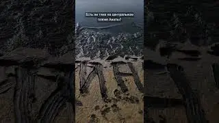 Есть ли тина на центральном пляже Анапы?