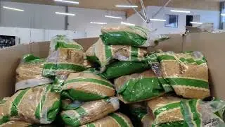 Живая птица