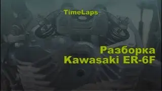 Разбор Kawasaki ER-6F