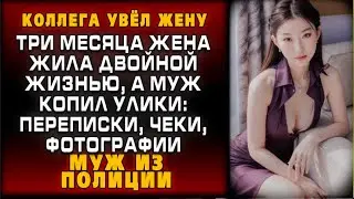 ТРИ МЕСЯЦА ЛЖИ, ОДИН УДАР ДОКАЗАТЕЛЬСТВАМИ — И ВСЁ КОНЧЕНО