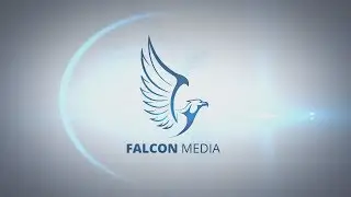 Professional Cinematic Logo