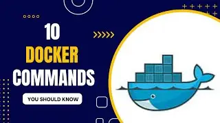 Level Up Your Docker Game: Learn the Top 10 Docker Commands for Success