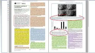 The Structure of Scientific Research Papers