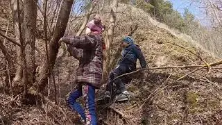 Как выжить в лису если коронавирус?