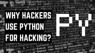 HACKERS use PYTHON for HACKING. HERE'S WHY?