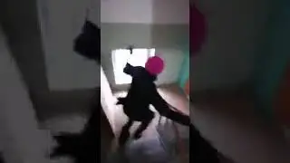 Правильно ли так относится к людям?