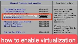 virtualization how to enable virtualization in bios setting hindi
