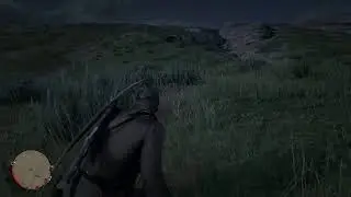 RDR2
