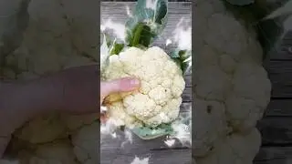 Growing Cauliflower