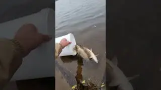 рыбалка Приморский край