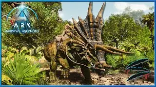 New Dino AI Stopped Me From Trapping This Triceratops - ARK Survival Ascended - E6