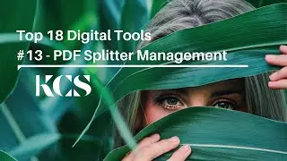 Top 18 Digital Tools - #13 PDF Splitter Management