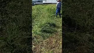 #stihl