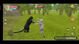 как выбить животное из сундуков в wildcraft рабочий способ на 100%