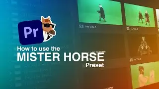 How to use the Mister Horse Preset | Adobe Premiere Tutorial