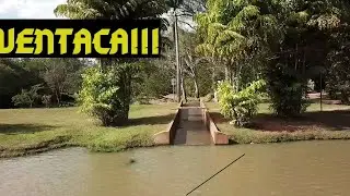 Mavic pro Fpv - Vôo na ventaca