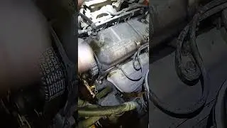 Порвался ремень ГРМ. Mazda Familia. 1.3  2001 г.