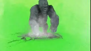HD Green Screen ✩ Gorilla Attacks Screen