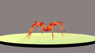 Spider - 4D cinema