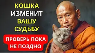 Жизнь с Кошкой Изменит Вашу Судьбу | Буддийская Мудрость Все Объясняет