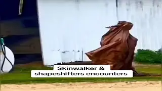 Skinwalker & shapeshifters encounters