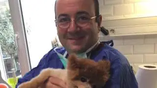 urgence veto34