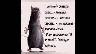 С юмором о нас - девочках  🌞🧚 Любой каприз за ваши деньги