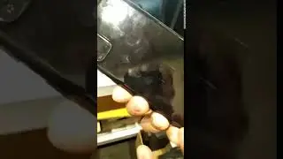 Samsung S20+ speaker noise