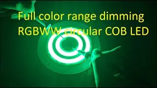 Full color range dimming RGBWW circular COB LED(20251011)