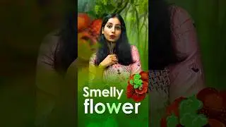 Smelly Flower #sciencefacts #csirnet #neet #biology #gate #csirnetlifesciences #science #tifr #cuet
