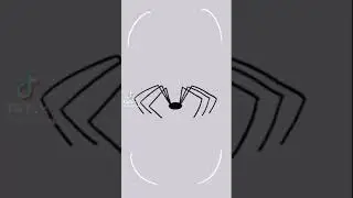 spider dance