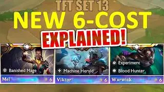 NEW 6 COST TFT UNITS EXPLAINED IN 2 Minutes 😍 SET 13